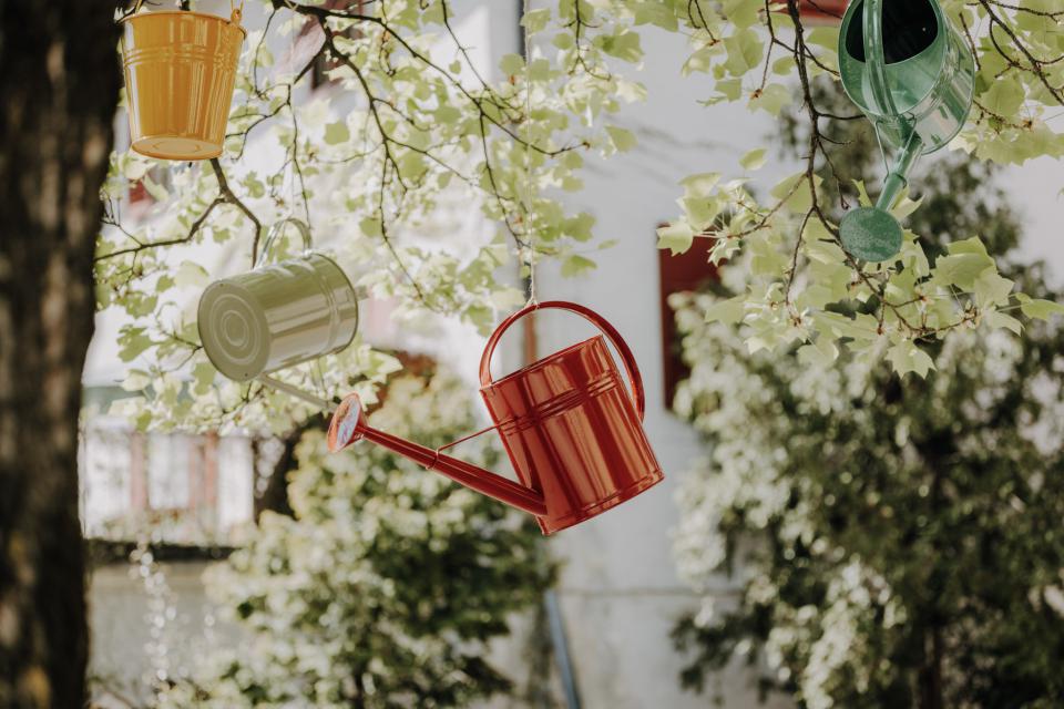 Lana - bunte Gießkannen hängen am Baum