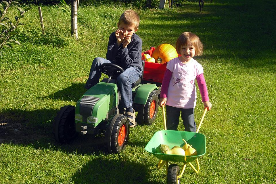 Kürbisernte mit Trettraktor & Schubkarre