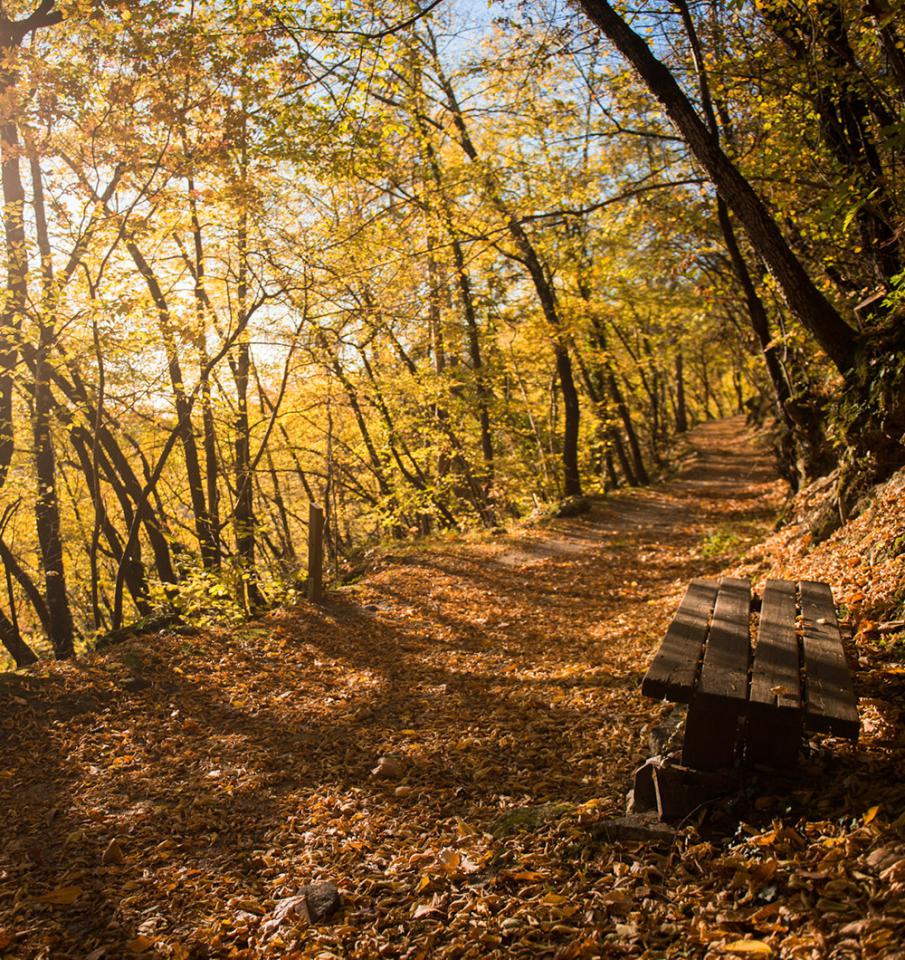 Herbststimmung Herbststimmung